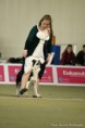 /album/fotogaleria/c-mg-0260-jpg/