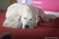 /album/fotogaleria/c-mg-0528-jpg/